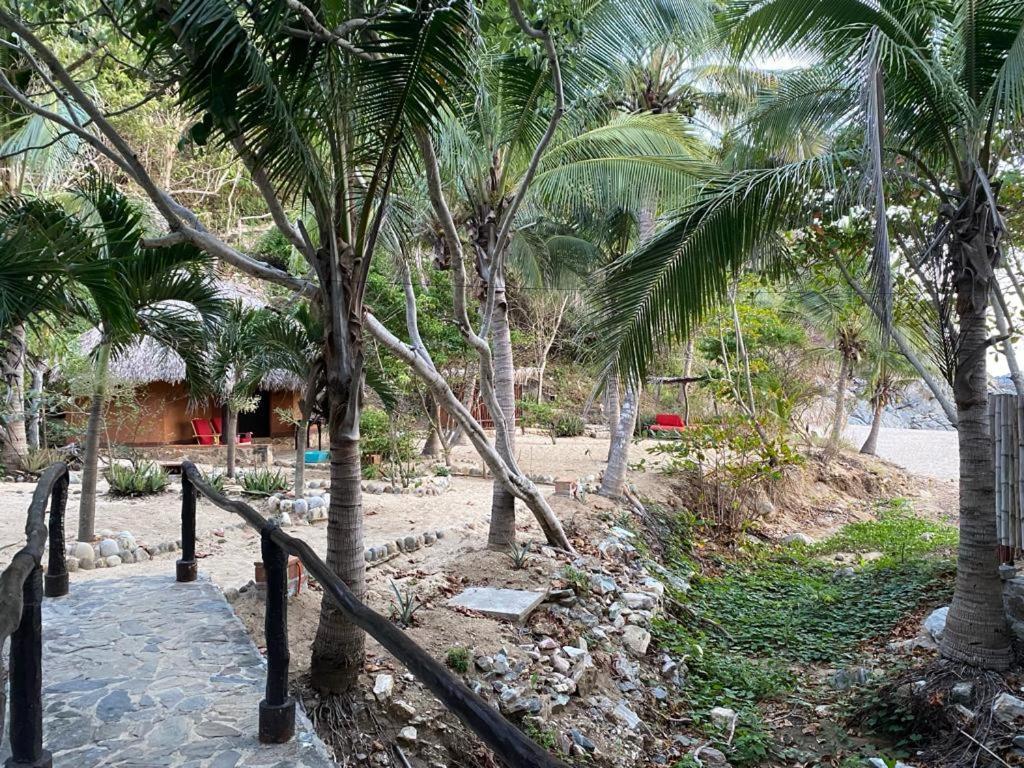 Hotel Bahia De La Luna Arroyo Cruz Exterior photo